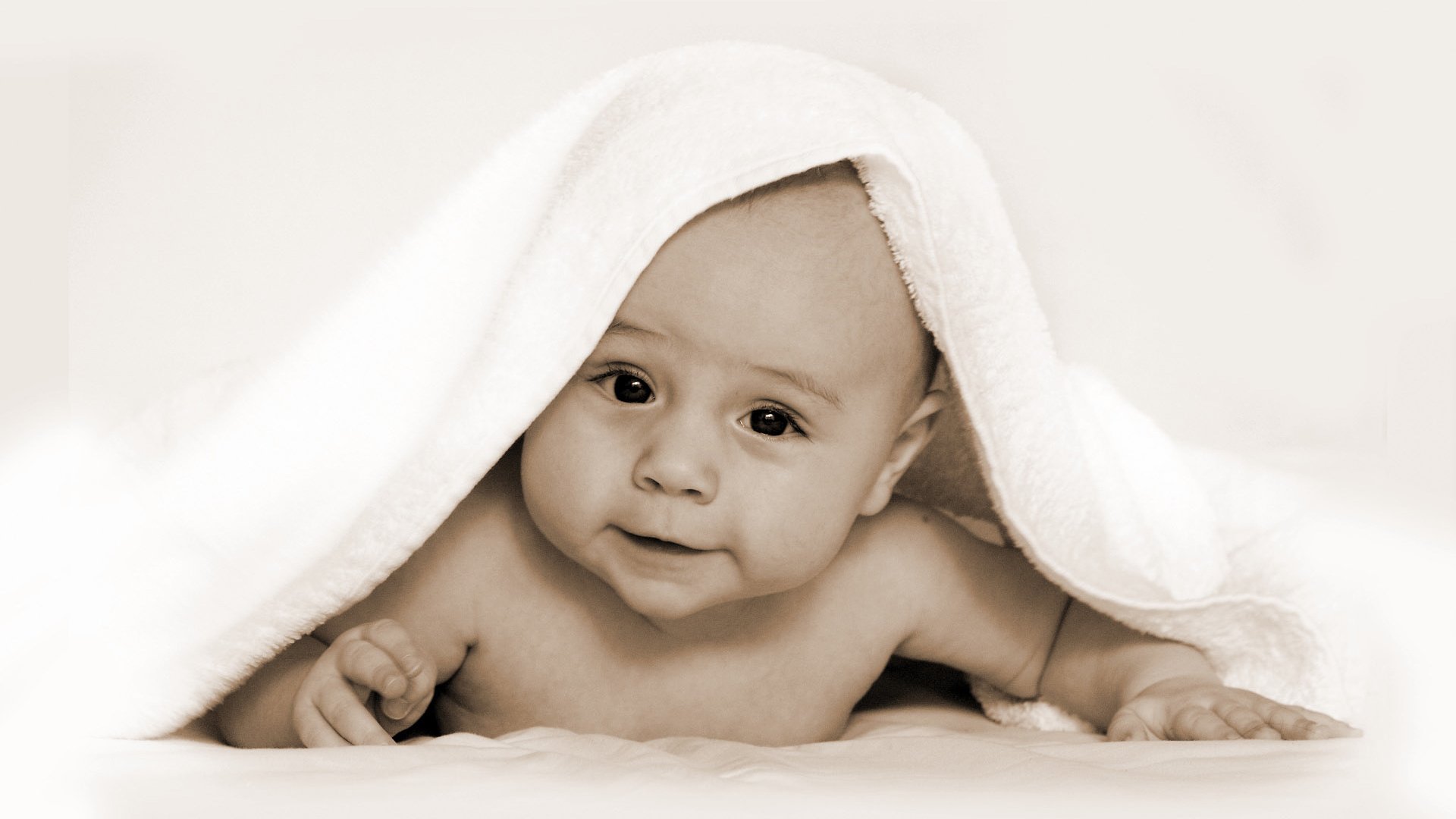 呼和浩特捐卵机构联系方式小宝宝会有卵泡吗